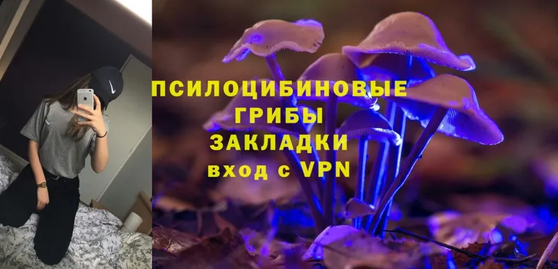 Галлюциногенные грибы Magic Shrooms  Егорьевск 